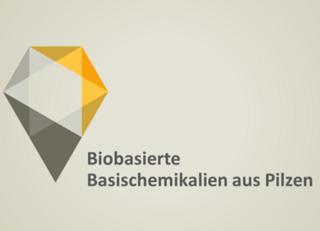 Auf grauem Grund steht der Schriftzug: Biobasierte Basischemikalien aus Pilzen